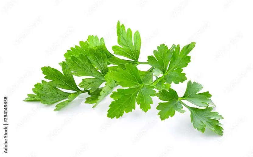 parsley