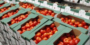 Beefsteak Tomatoes in Box